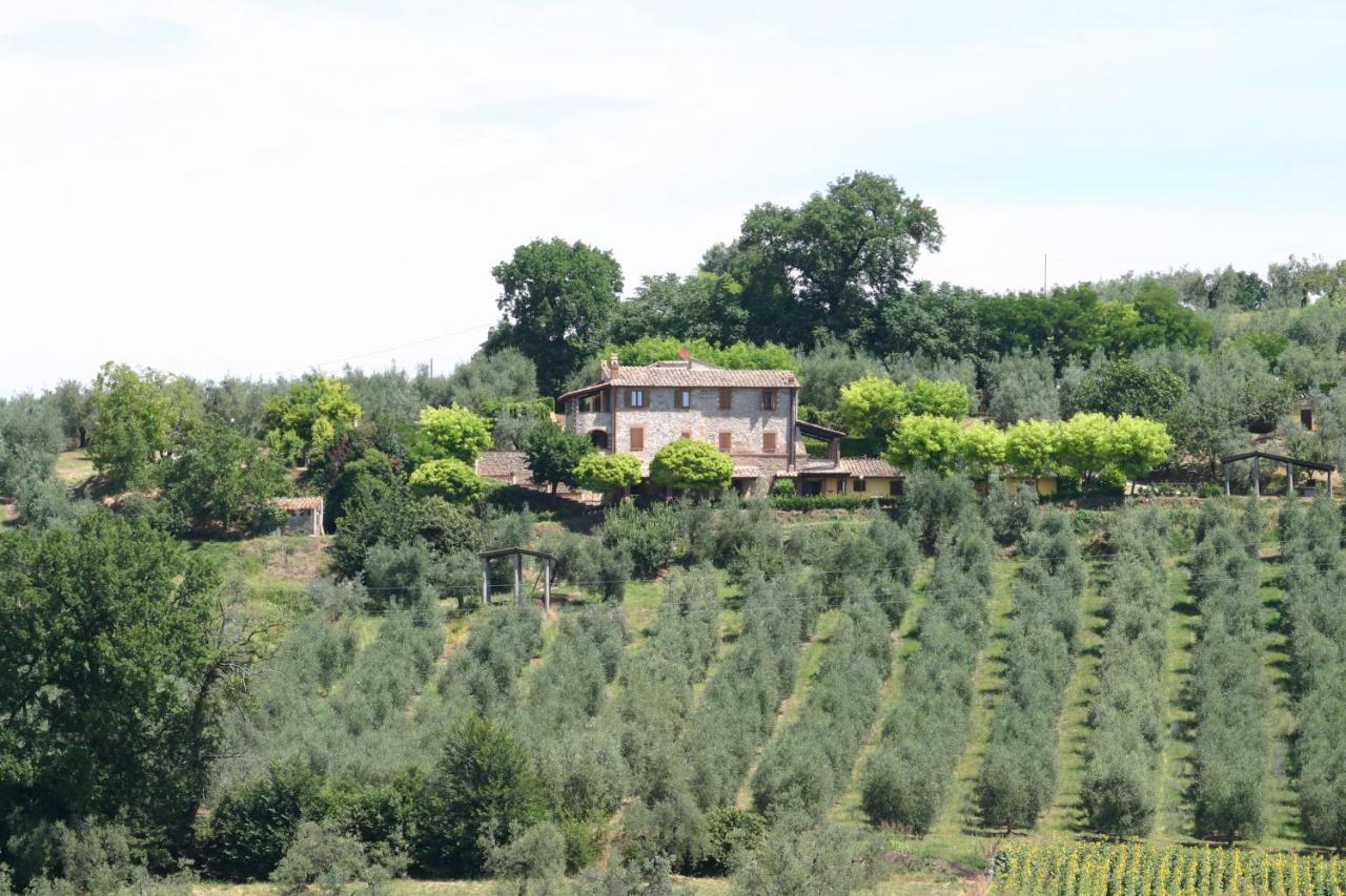 Agriturismo Oliveto Di Geltrude Contessa Амелиа Экстерьер фото